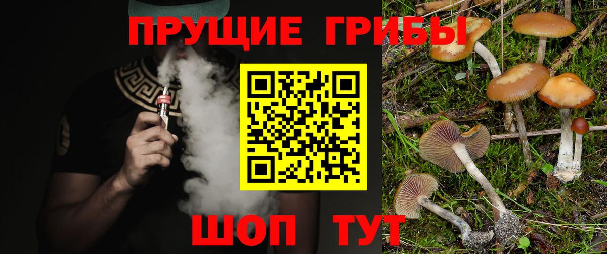 Галлюциногенные грибы прущие грибы Дмитров