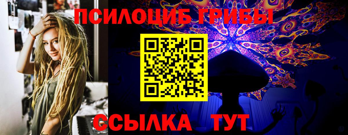 Галлюциногенные грибы мухоморы  Галлюциногенные грибы прущие грибы  Вход с VPN  Дмитров 